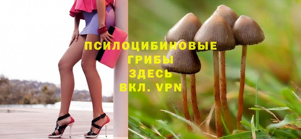 крисы Жердевка