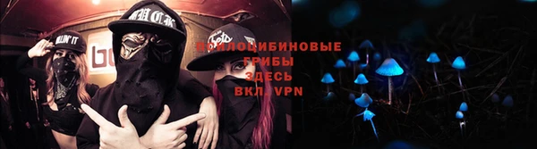 хмурый Железноводск