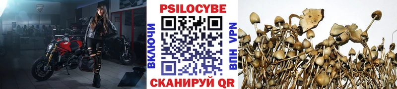 гидра ссылка  Краснослободск  Псилоцибиновые грибы мухоморы 